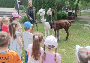 Alpaki w odwiedzinach z okazji Dnia Dziecka