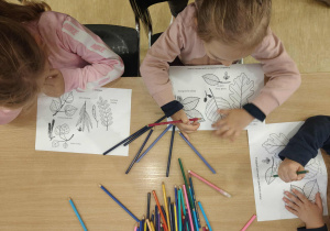 zajęcia edukacyjne w Ośrodku Ekologicznym w Łagiewnikach