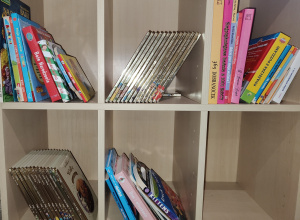 Półka Bookcrossingowa