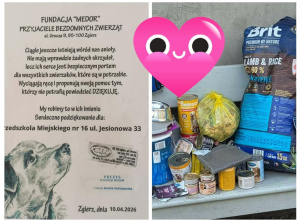 Przyjaciele Bezdomnych Zwierząt