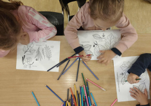 zajęcia edukacyjne w Ośrodku Ekologicznym w Łagiewnikach