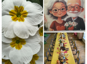 Dzień Babci i Dziadka