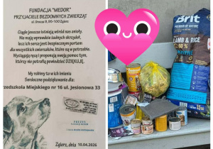 Podziękowania dla naszego przedszkola za zbiórkę karmy dla zwierząt od fundacji "MEDOR"