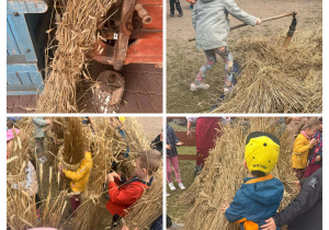 Skrzaty i Mrówki podczas warsztatów ekologicznych w Konarzewie pt. "Od ziarenka do bochenka"