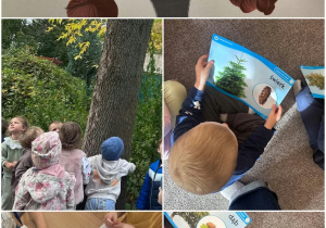 Dzień Drzewa - uczymy się doceniać najmniejsze przyjemności
