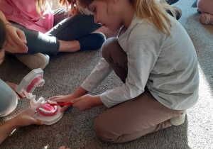 Dziewczynka uczy się szczotkowania zębów na modelu szczęki.